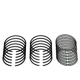 Purchase Top-Quality SEALED POWER - E219K - Piston Ring Set pa1