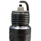 Purchase Top-Quality Platinum Plug by CHAMPION SPARK PLUG - 3025 pa9