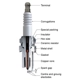 Purchase Top-Quality CHAMPION SPARK PLUG - 3068 - Platinum Plug pa4