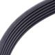 Purchase Top-Quality CONTINENTAL - 6PK1555 - Drive Belt pa3