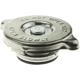 Purchase Top-Quality MOTORAD - T13 - Radiator Cap pa21