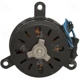 Purchase Top-Quality Radiator Fan Motor by FOUR SEASONS - 35155 pa25