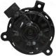 Purchase Top-Quality Radiator Fan Motor by FOUR SEASONS - 75721 pa7