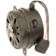 Purchase Top-Quality Radiator Fan Motor by FOUR SEASONS - 75768 pa18