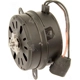 Purchase Top-Quality Radiator Fan Motor by FOUR SEASONS - 75768 pa19