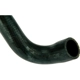 Purchase Top-Quality URO - 11537591889PRM - Coolant Hose pa3