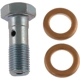 Purchase Top-Quality Rear Banjo Bolt by CARLSON - H9472-2 pa2