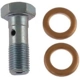 Purchase Top-Quality Rear Banjo Bolt by CARLSON - H9472-2 pa3