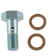 Purchase Top-Quality Rear Banjo Bolt by CARLSON - H9487-2 pa1