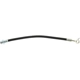 Purchase Top-Quality CENTRIC PARTS - 150.42382 - Brake Hydraulic Hose pa1