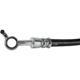 Purchase Top-Quality Rear Brake Hose by CENTRIC PARTS - 150.51342 pa1