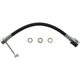 Purchase Top-Quality Rear Brake Hose by CENTRIC PARTS - 150.67410 pa3