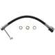 Purchase Top-Quality Rear Brake Hose by CENTRIC PARTS - 150.67410 pa7