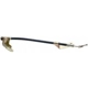 Purchase Top-Quality Rear Brake Hose by RAYBESTOS - BH380335 pa2