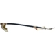 Purchase Top-Quality Rear Brake Hose by RAYBESTOS - BH380335 pa4