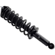 Purchase Top-Quality FCS AUTOMOTIVE - 1333435L - Rear Complete Strut Assembly by pa5