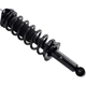 Purchase Top-Quality FCS AUTOMOTIVE - 1336340L - Rear Complete Strut Assembly pa2