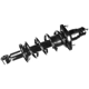 Purchase Top-Quality FCS AUTOMOTIVE - 1336340L - Rear Complete Strut Assembly pa6