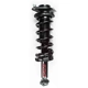 Purchase Top-Quality FCS AUTOMOTIVE - 2345541 - Rear Complete Strut Assembly pa1