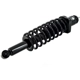 Purchase Top-Quality FCS AUTOMOTIVE - 2345844 - Rear Complete Strut Assembly pa5