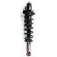 Purchase Top-Quality FCS AUTOMOTIVE - 3345484 - Rear Complete Strut Assembly pa1