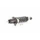 Purchase Top-Quality Rear Complete Strut Assembly by UNITY AUTOMOTIVE - 15374 pa1