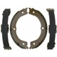 Purchase Top-Quality Rear Parking Brake Shoes by RAYBESTOS - 1002PG pa1