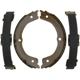 Purchase Top-Quality Rear Parking Brake Shoes by RAYBESTOS - 1002PG pa6