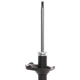 Purchase Top-Quality PRT - 474873 - Suspension Strut pa2