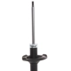 Purchase Top-Quality PRT - 474874 - Suspension Strut pa5