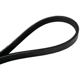 Purchase Top-Quality CONTINENTAL - 4030307S - Serpentine Belt - Automotive V-Belt pa3