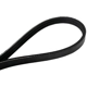 Purchase Top-Quality CONTINENTAL - 4030325S - Serpentine Belt - Automotive V-Belt pa4