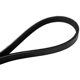 Purchase Top-Quality CONTINENTAL - 4030335 - Serpentine Belt - Automotive V-Belt pa1