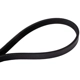 Purchase Top-Quality CONTINENTAL - 4040356S - Serpentine Belt - Automotive V-Belt pa2