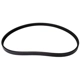 Purchase Top-Quality CONTINENTAL - 4040373S - Serpentine Belt - Automotive V-Belt pa1