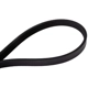 Purchase Top-Quality CONTINENTAL - 4040373S - Serpentine Belt - Automotive V-Belt pa3