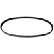 Purchase Top-Quality CONTINENTAL - 4040423 - Serpentine Belt - Automotive V-Belt pa1