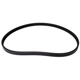 Purchase Top-Quality CONTINENTAL - 4040525 - Serpentine Belt - Automotive V-Belt pa1