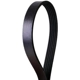 Purchase Top-Quality CONTINENTAL - 4050335 - Serpentine Belt - Automotive V-Belt pa2