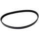 Purchase Top-Quality CONTINENTAL - 4050405 - Serpentine Belt - Automotive V-Belt pa1