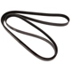 Purchase Top-Quality CONTINENTAL - 4050562 - Serpentine Belt - Automotive V-Belt pa3