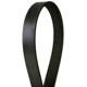 Purchase Top-Quality CONTINENTAL - 4050609 - Serpentine Belt - Automotive V-Belt pa2