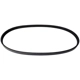 Purchase Top-Quality CONTINENTAL - 4050660 - Serpentine Belt pa1