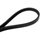 Purchase Top-Quality CONTINENTAL - 4050660 - Serpentine Belt pa2