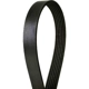 Purchase Top-Quality CONTINENTAL - 4060367 - Serpentine Belt - Automotive V-Belt pa3