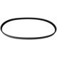 Purchase Top-Quality CONTINENTAL - 4060393 - Serpentine Belt pa1