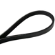 Purchase Top-Quality CONTINENTAL - 4060393 - Serpentine Belt pa2