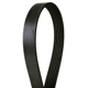 Purchase Top-Quality CONTINENTAL - 4060415 - Serpentine Belt - Automotive V-Belt pa2