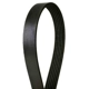 Purchase Top-Quality CONTINENTAL - 4060505 - Serpentine Belt - Automotive V-Belt pa2