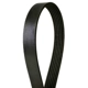 Purchase Top-Quality CONTINENTAL - 4060540 - Serpentine Belt - Automotive V-Belt pa3